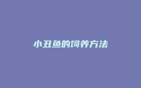 小丑鱼的饲养方法