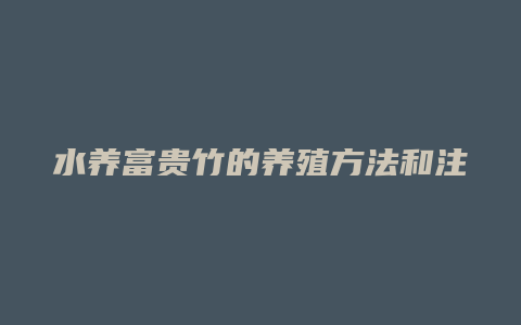 水养富贵竹的养殖方法和注意事项有哪些