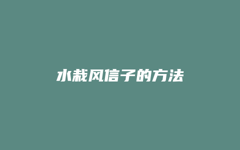 水栽风信子的方法