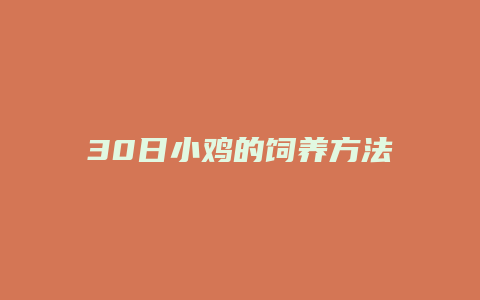 30日小鸡的饲养方法