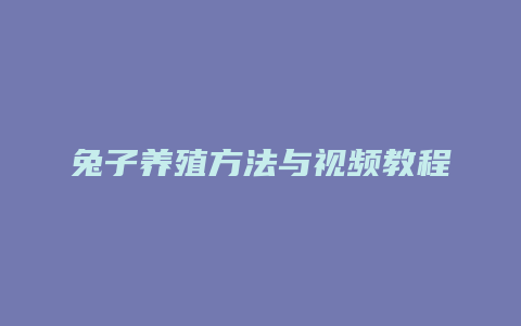 兔子养殖方法与视频教程