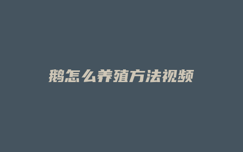 鹅怎么养殖方法视频