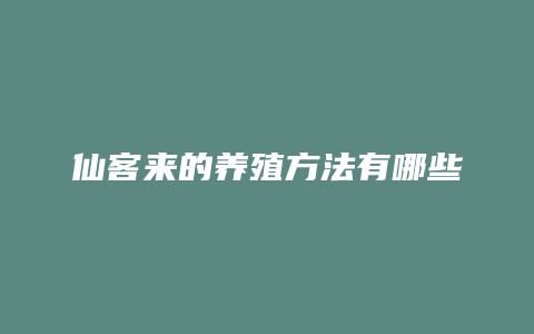 仙客来的养殖方法有哪些