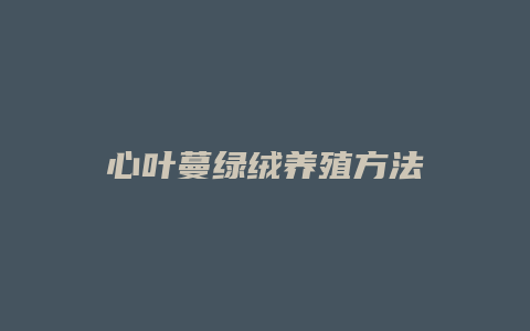 心叶蔓绿绒养殖方法