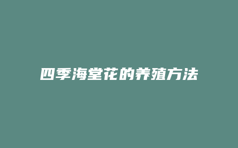 四季海堂花的养殖方法