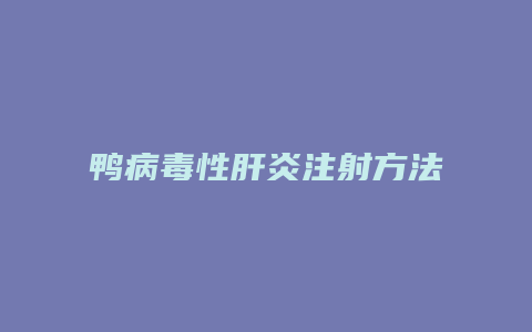 鸭病毒性肝炎注射方法