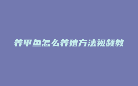 养甲鱼怎么养殖方法视频教程