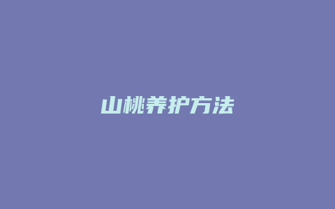 山桃养护方法