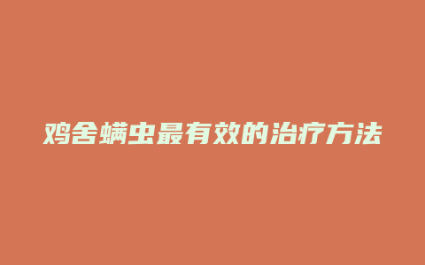 鸡舍螨虫最有效的治疗方法