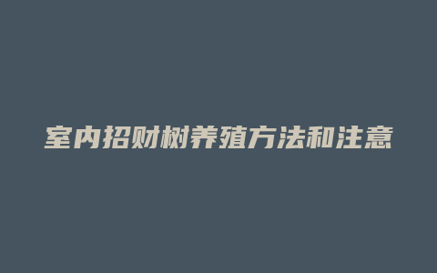 室内招财树养殖方法和注意事项