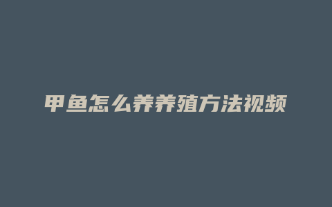 甲鱼怎么养养殖方法视频