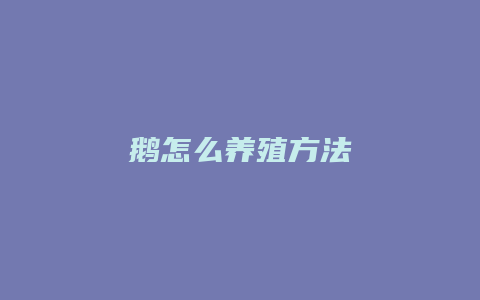 鹅怎么养殖方法