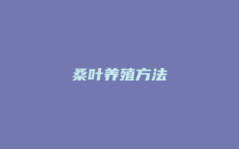 桑叶养殖方法