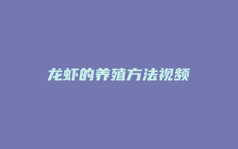 龙虾的养殖方法视频