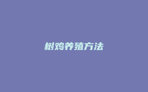 树鸡养殖方法