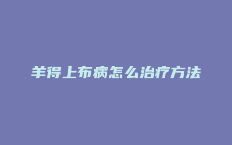 羊得上布病怎么治疗方法