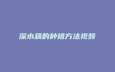 深水藕的种植方法视频