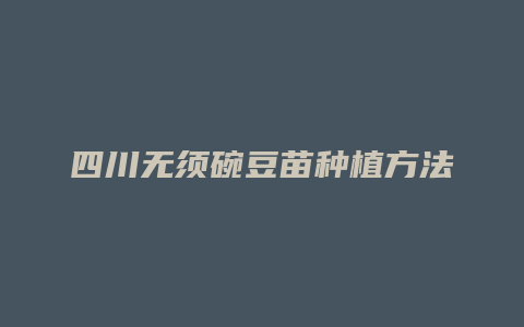 四川无须碗豆苗种植方法