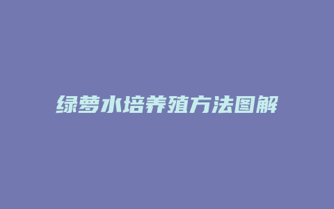 绿萝水培养殖方法图解