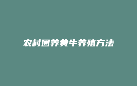 农村圈养黄牛养殖方法