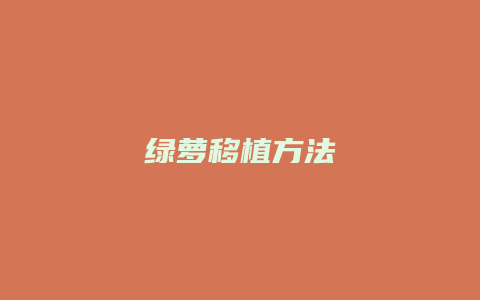 绿萝移植方法