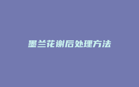 墨兰花谢后处理方法