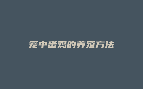 笼中蛋鸡的养殖方法