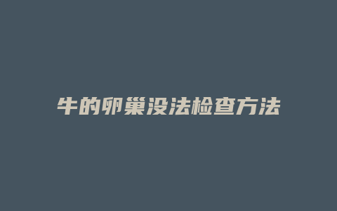 牛的卵巢没法检查方法