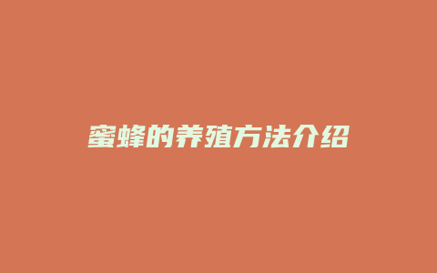 蜜蜂的养殖方法介绍