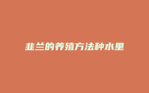 韭兰的养殖方法种水里