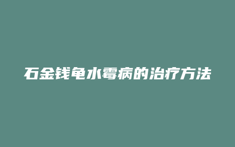 石金钱龟水霉病的治疗方法