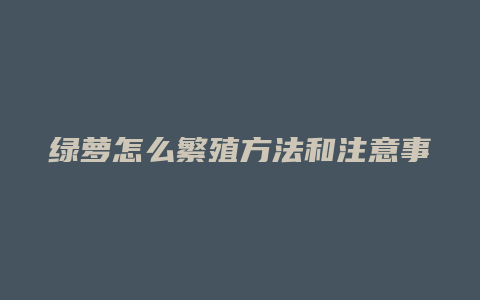 绿萝怎么繁殖方法和注意事项