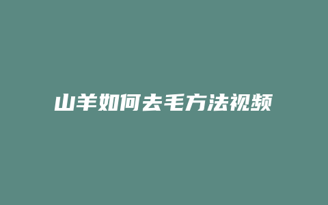 山羊如何去毛方法视频