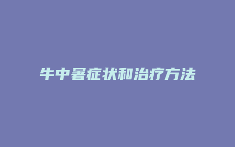 牛中暑症状和治疗方法