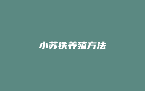 小苏铁养殖方法