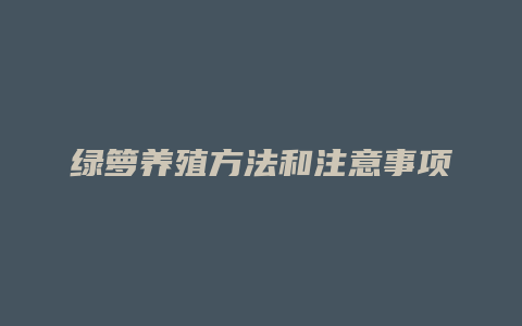 绿箩养殖方法和注意事项