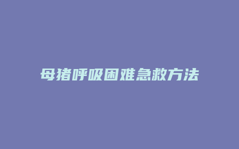 母猪呼吸困难急救方法