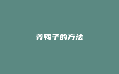 养鸭子的方法