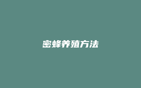 密蜂养殖方法