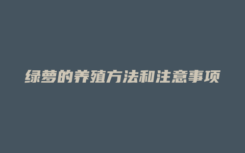 绿萝的养殖方法和注意事项详解