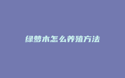 绿萝木怎么养殖方法