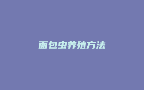 面包虫养殖方法