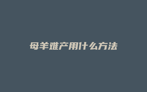 母羊难产用什么方法