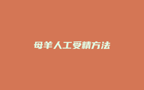 母羊人工受精方法