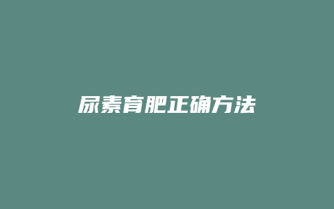 尿素育肥正确方法