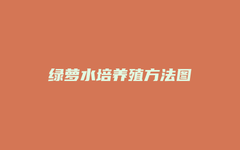 绿萝水培养殖方法图