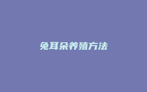 兔耳朵养殖方法