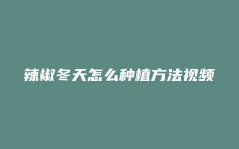 辣椒冬天怎么种植方法视频教程