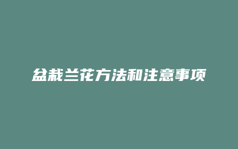 盆栽兰花方法和注意事项