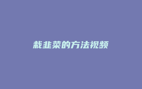 栽韭菜的方法视频